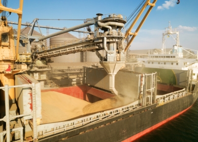 Первая часть допквот на экспорт зерновых распределена