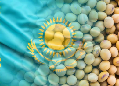 Казахстан наращивает импорт продукции АПК из Алтая