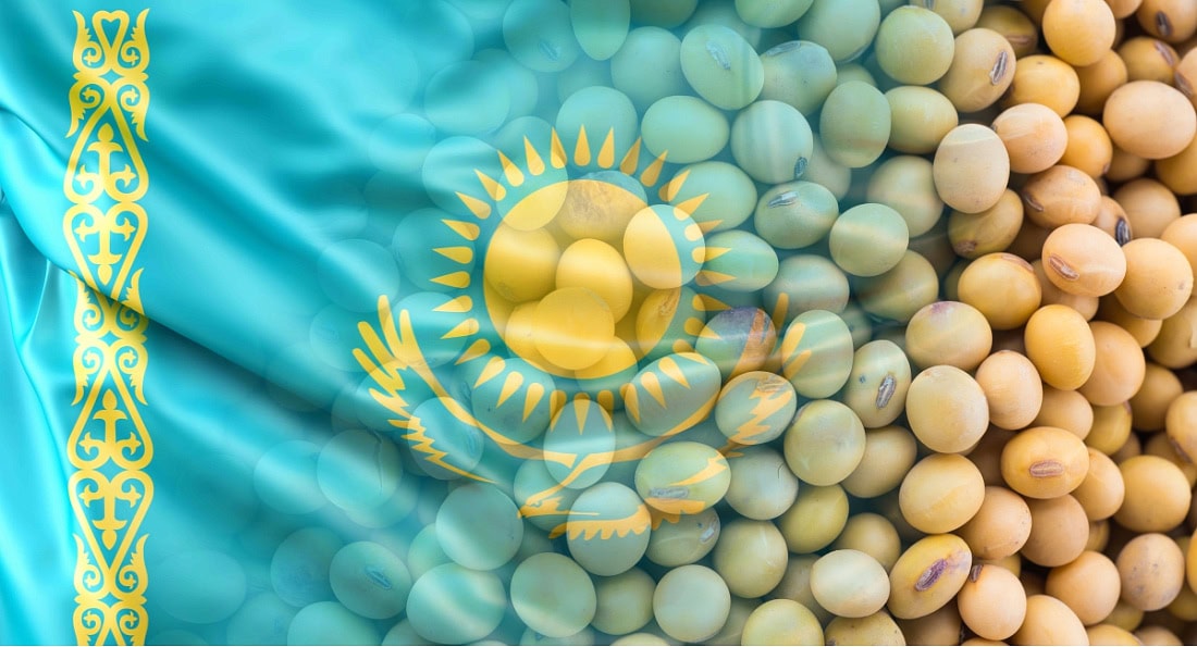 Казахстан наращивает импорт продукции АПК из Алтая