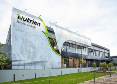 Nutrien думает над продажей активов в Латинской Америке