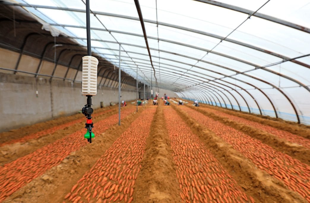 Надежное электроснабжение поддерживает сельское хозяйство Ганьсу