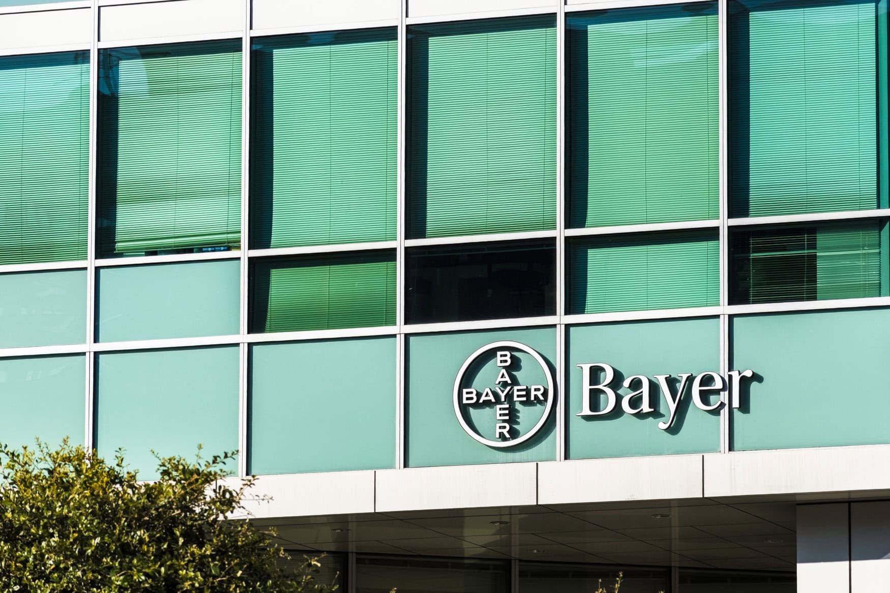 Bayer подписал контракт с WSW