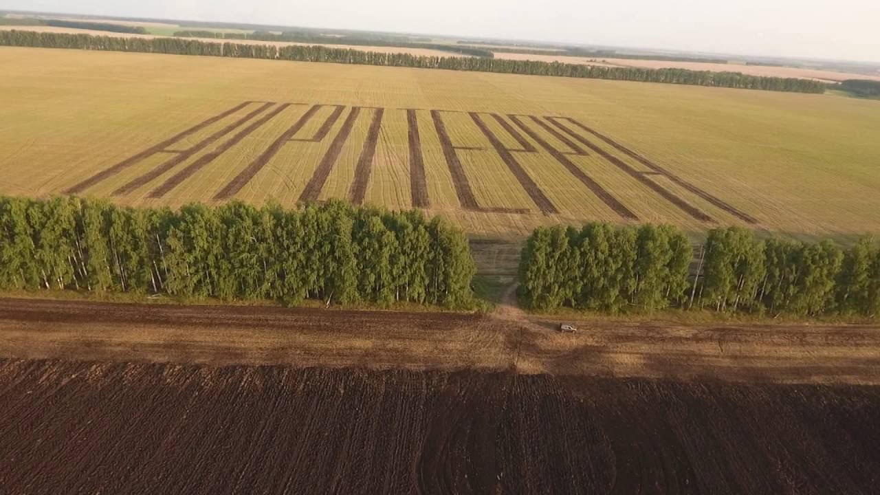 Активы агрохолдинга «АгроТерра» переданы Росимуществу