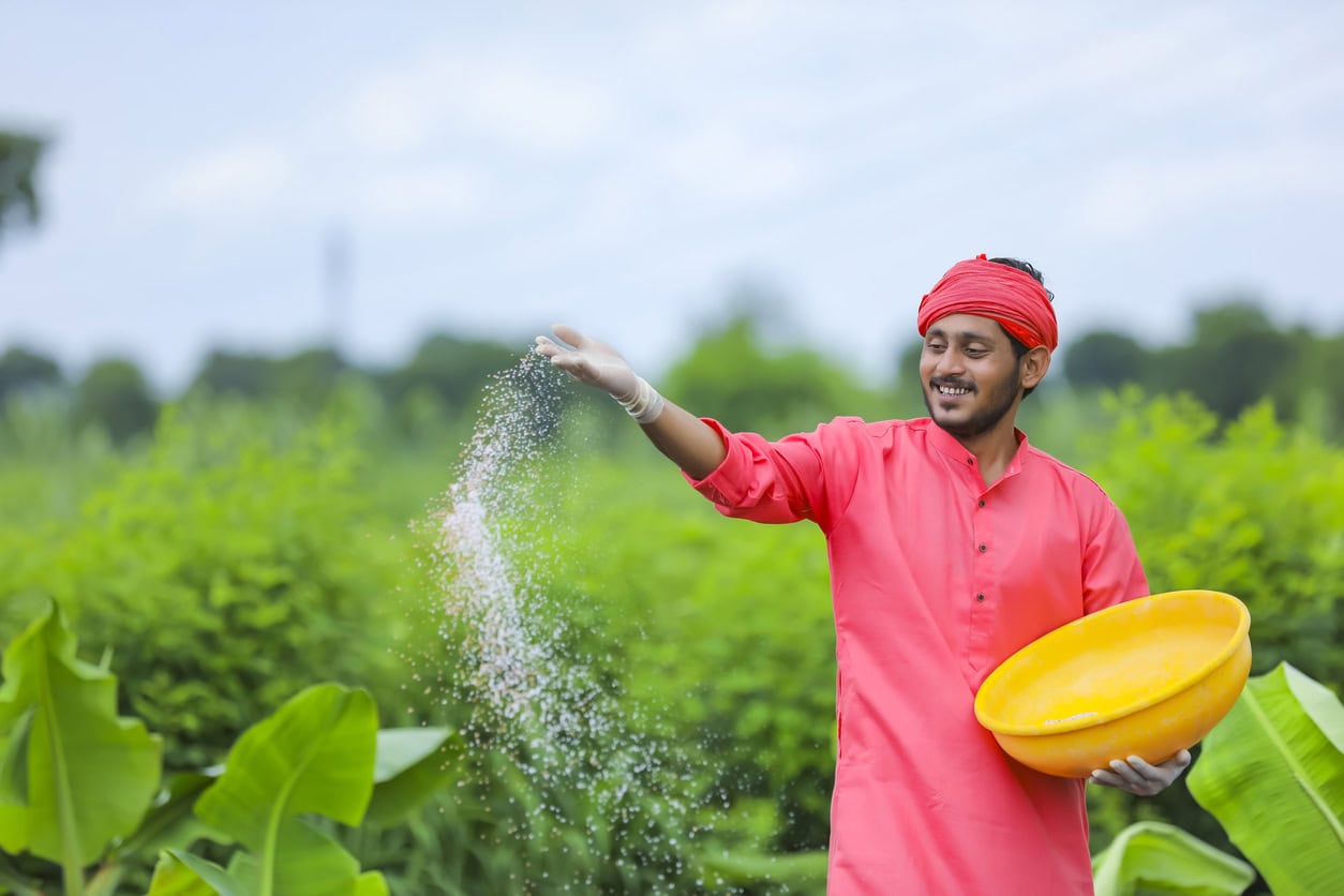 Россия увеличила экспорт удобрений в Индию