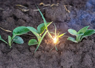 NVIDIA вложилась в Carbon Robotics