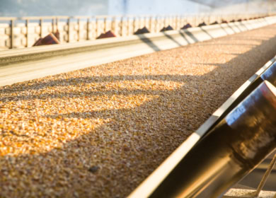 Элеваторы Louis Dreyfus перестали принимать зерно