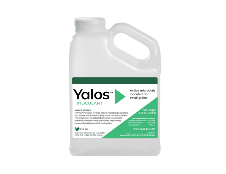 Lavie Bio объявила о коммерческом расширении применения биоинокулянта Yalos