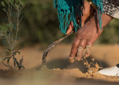 CNH и Oxfam реализуют социальный проект в Тунисе