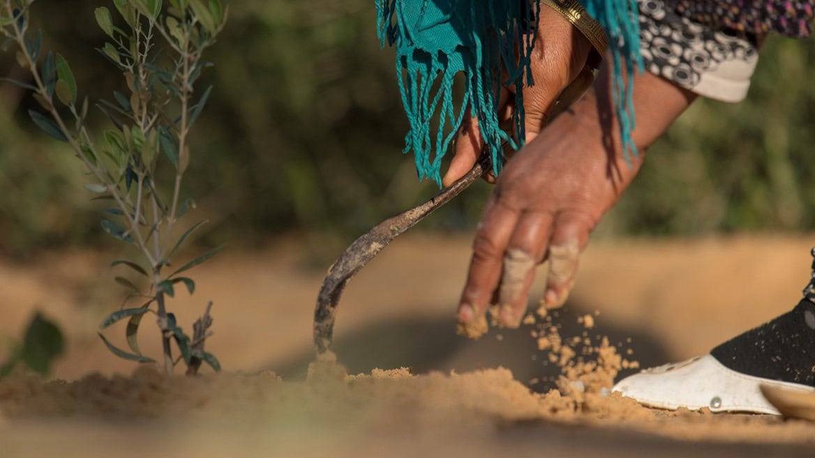 CNH и Oxfam реализуют социальный проект в Тунисе