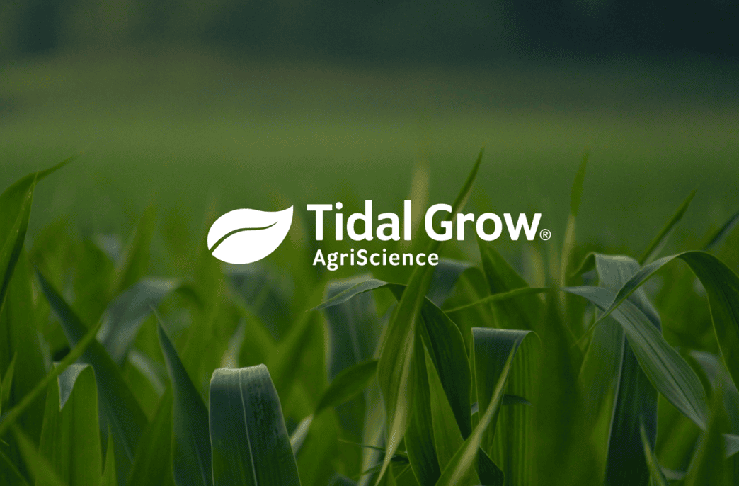 Tidal Grow AgriScience получила грант