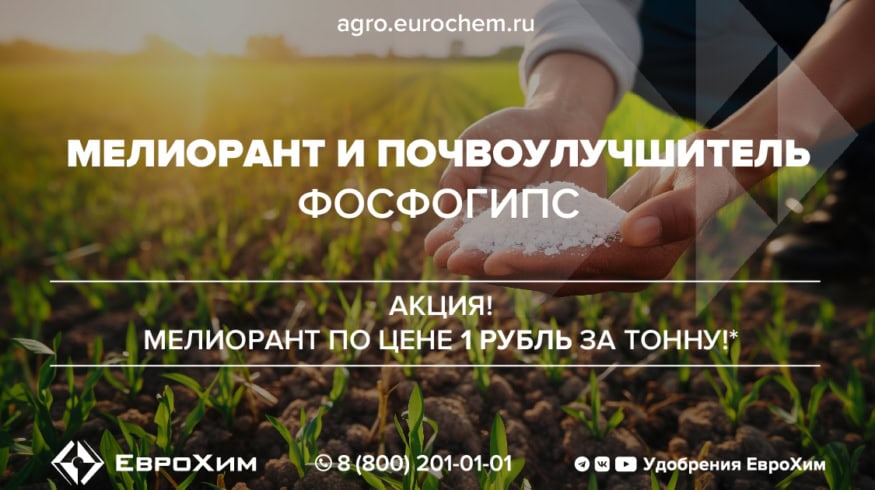 Фосфогипс может помочь решению проблемы засоления почв в России