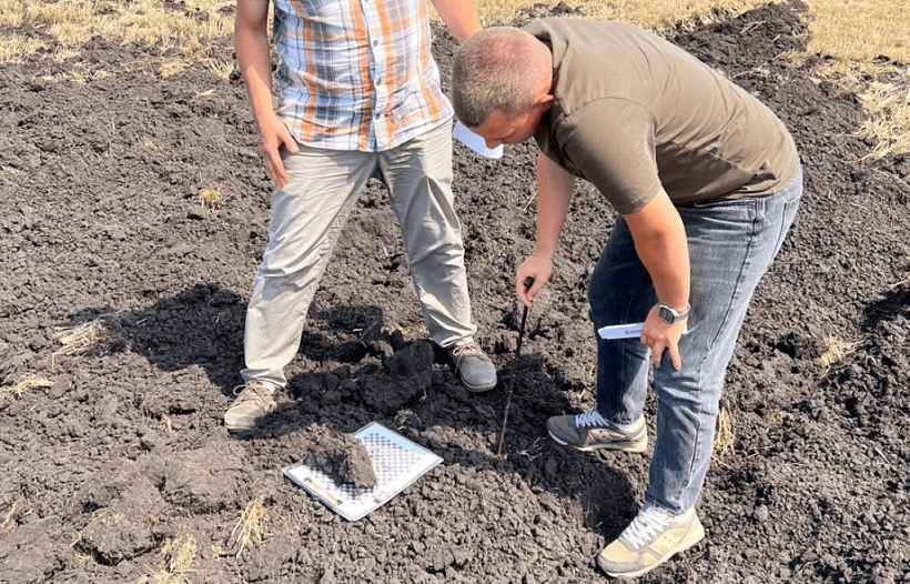 Агрономы «Русагро» успешно прошли проверку компетенций