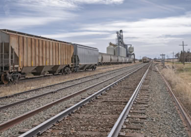 Татарстан отправил в Китай первый поезд с пшеницей