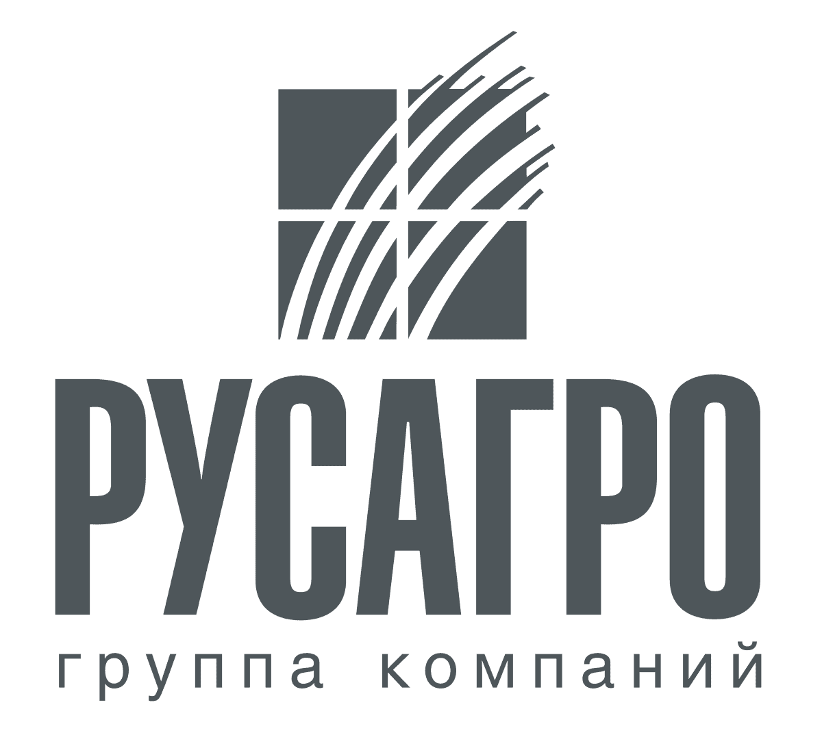 «Русагро» опубликовала результаты за I полугодие 2024 года
