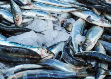 NEIKER занимается разработкой биоудобрений из отходов рыболовства