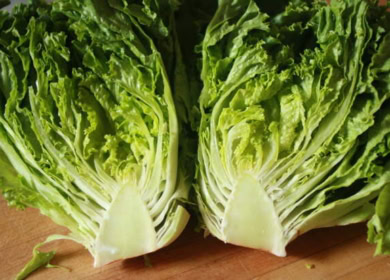 Выращивание салата эндивий на дачной грядке