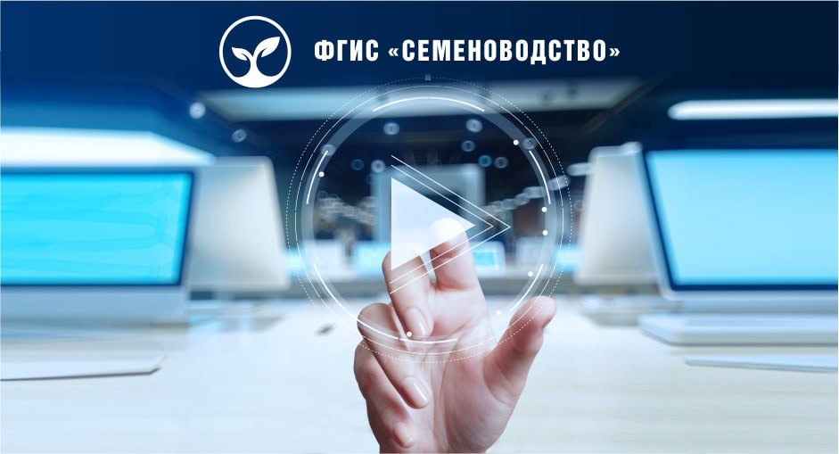С 1 сентября 2024 года заработала ФГИС «Семеноводство»