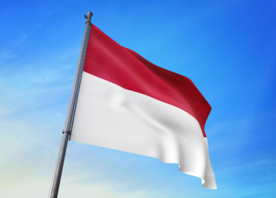 Россия и Индонезия обсудили аграрные вопросы