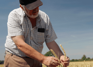 Программа регенеративного сельского хозяйства ADM стала успешной