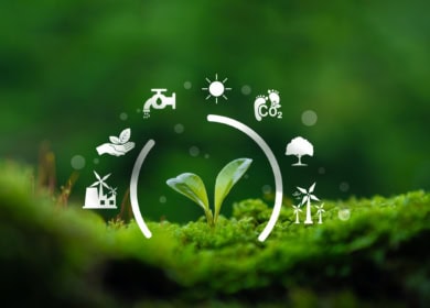 «ФосАгро» обеспечила углеродно нейтральный статус «Золотой осени»