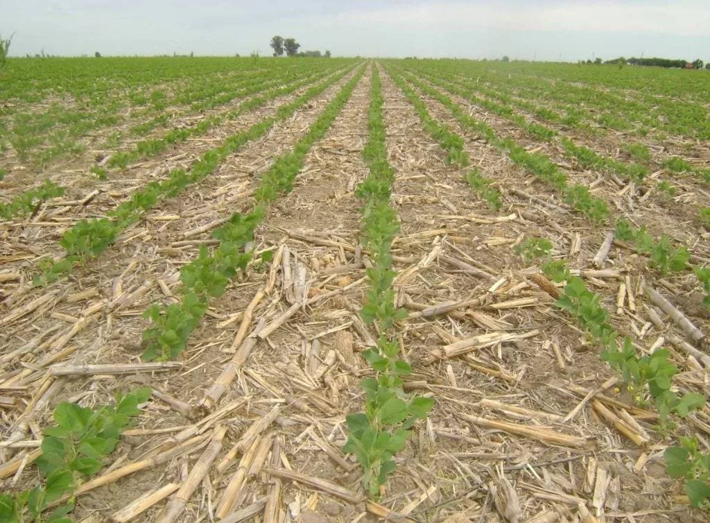 В Ростовской области начался no-till эксперимент