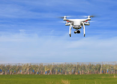 Беспилотники из КНР произведут революцию в сельском хозяйстве Пакистана