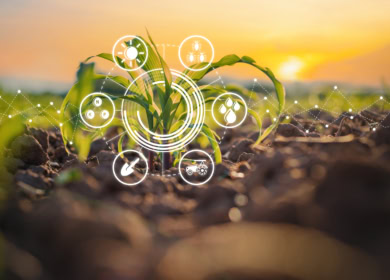 «Русагро» внедряет облачный сервис «История поля»