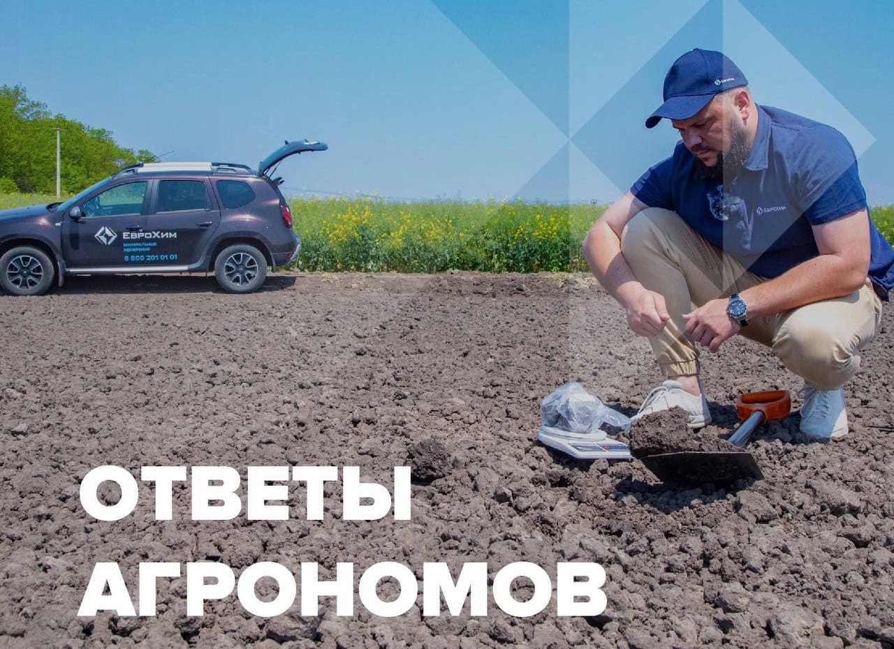 Что происходит с водорастворимыми удобрениями, не вынесенными с урожаем?