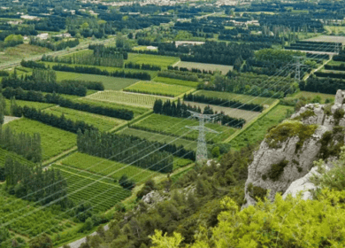 Syngenta и xFarm совершат революцию в сельском хозяйстве Франции