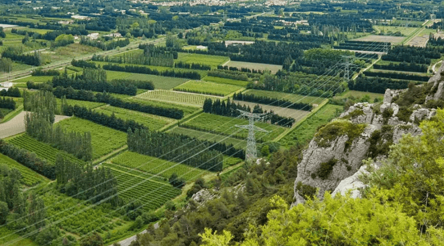 Syngenta и xFarm совершат революцию в сельском хозяйстве Франции