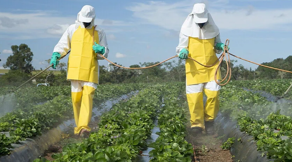 Crystal Crop Protection приобрела у Bayer права на этоксисульфурон