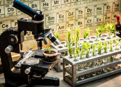 В Китае разработали инновационную формулу пестицида