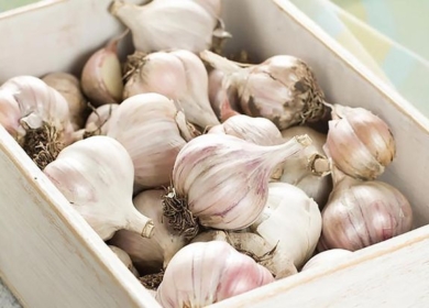Как правильно хранить чеснок: лучшие способы и ошибки