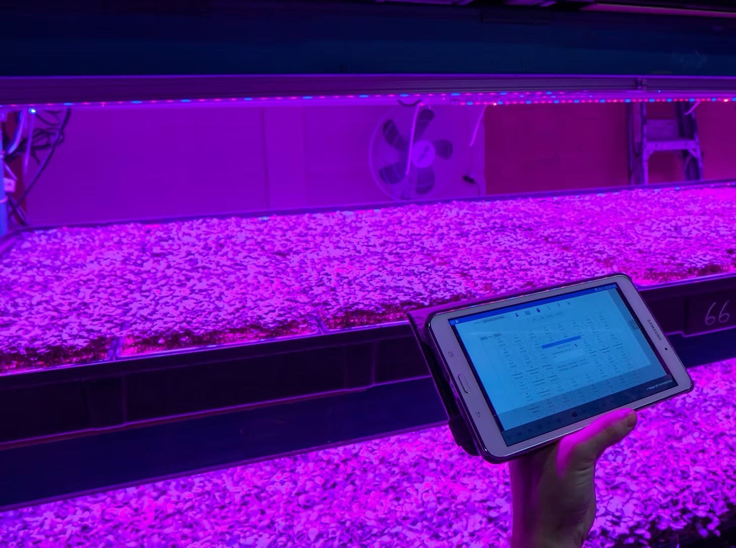 Канадская ферма Living Earth Farm открывает новые горизонты вертикального земледелия