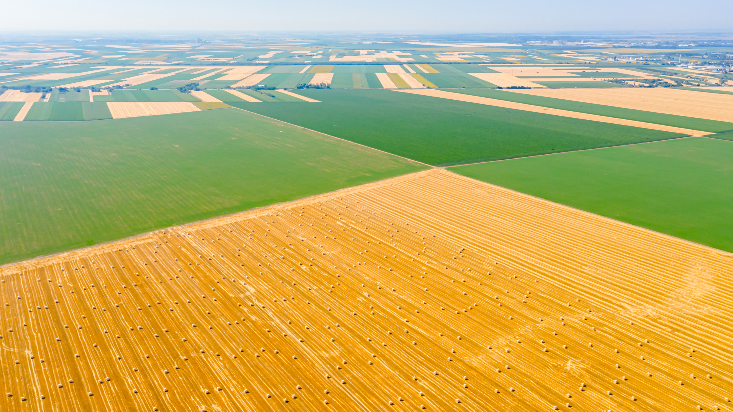 crop.zone расширяет свое присутствие в США благодаря партнерству с Big Iron Equipment