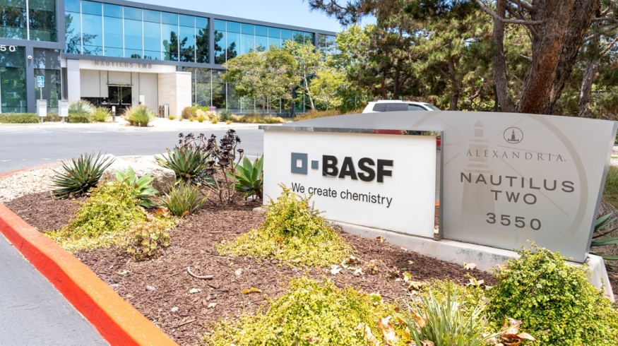 BASF привлекла Deutsche Bank и Goldman Sachs для листинга агрохимических акций