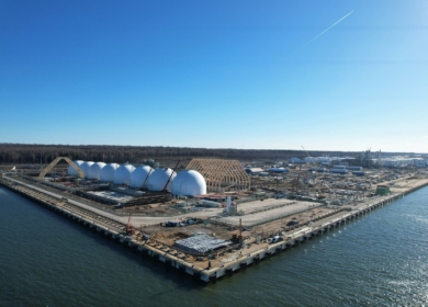 Port Favor перевалил в феврале 51,7 тыс. тонн аммиака