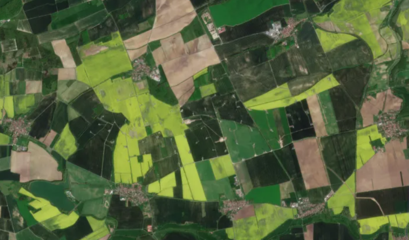 Syngenta и Planet возобновили свое сотрудничество