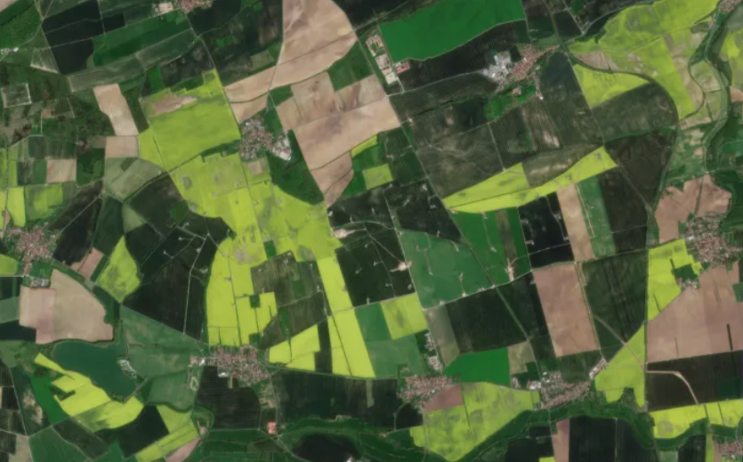 Syngenta и Planet возобновили свое сотрудничество
