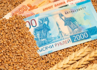 Объём кредитования сезонных полевых работ в России вырос на 7,6%