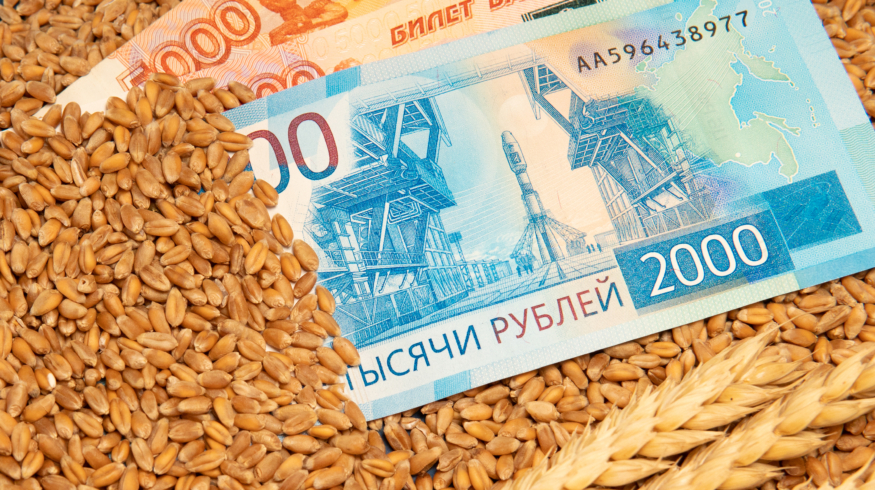 Объём кредитования сезонных полевых работ в России вырос на 7,6%