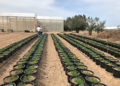 Anglo American и Biome Makers провели совместные исследования