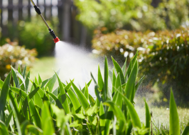 Syngenta и University Tools помогают оценить воздействие фунгицидов