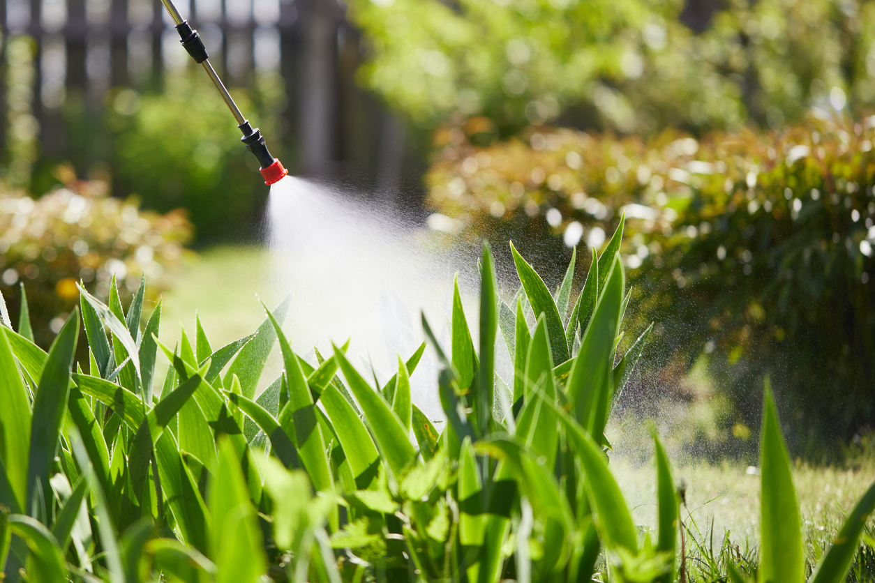 Syngenta и University Tools помогают оценить воздействие фунгицидов
