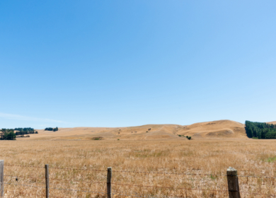 Ballance Agri-Nutrients поддержала новозеландских фермеров