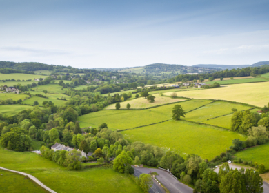 Россельхознадзор сообщил об изменениях земельного законодательства