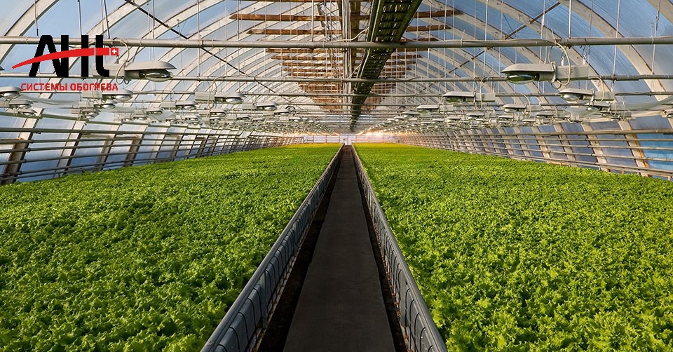 Голландская компания AHT хочет расширить свое присутствие в Азербайджане