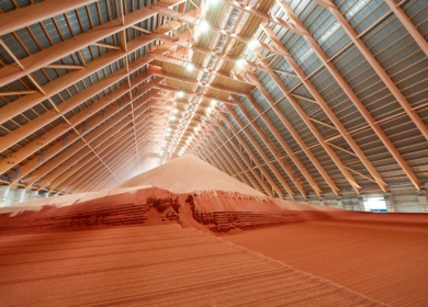 Правительство РФ продлило квоты на вывоз минудобрений до 30 ноября 2025 года