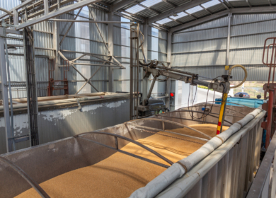 В России приступили к эксперименту по цифровизации перевозок зерна