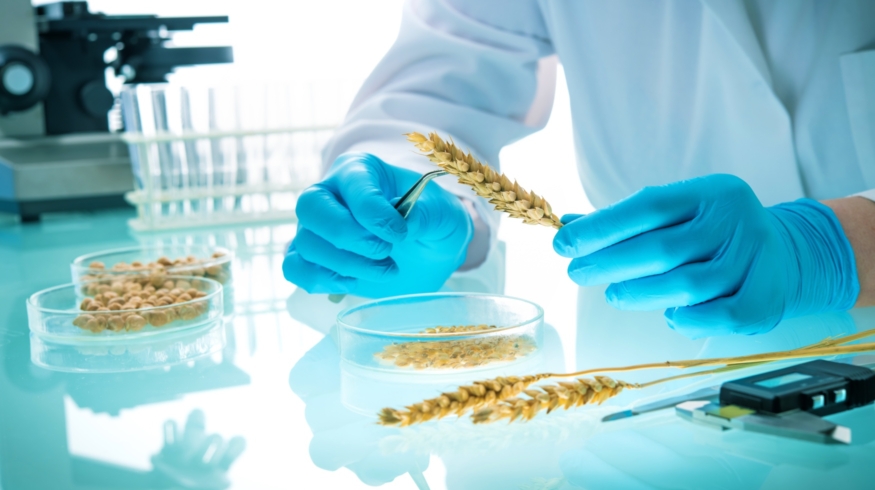Syngenta Vegetable Seeds и Tropic объявили о партнерстве в области редактирования генов